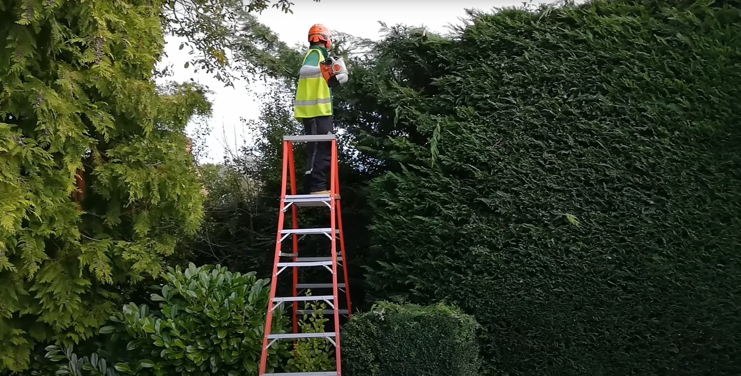 Arborist performing seasonal tree pruning on ladder in Laredo, TX