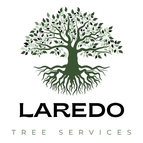 GoTime Laredo Tree Services