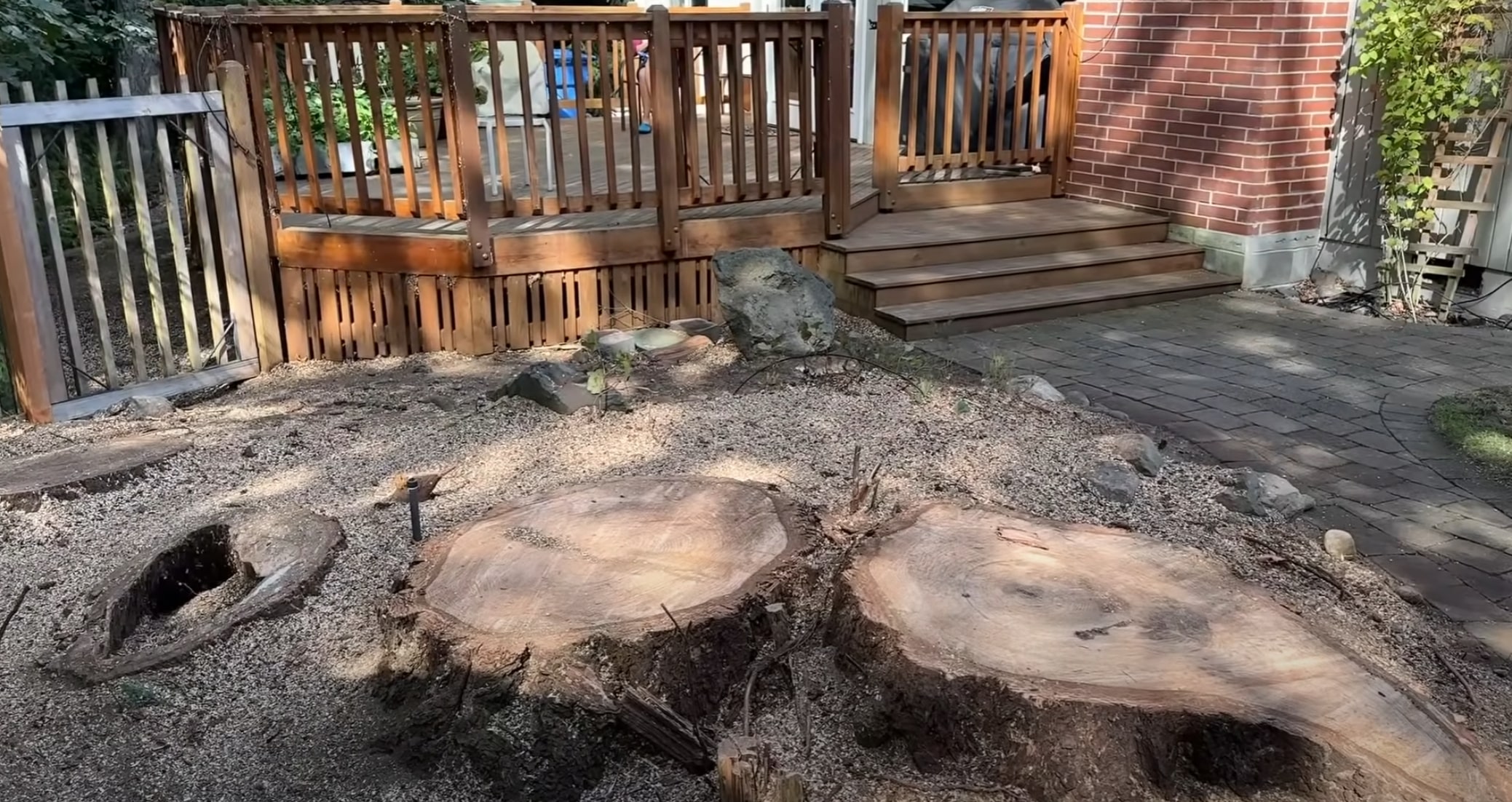 Multiple tree stumps removed in residential backyard in Laredo, TX